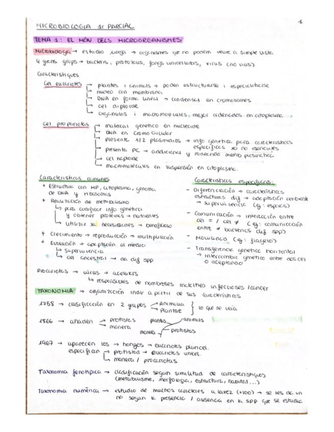 Miniatura del documento MICRO-1R-PARCIAL-APUNTS-2023.pdf