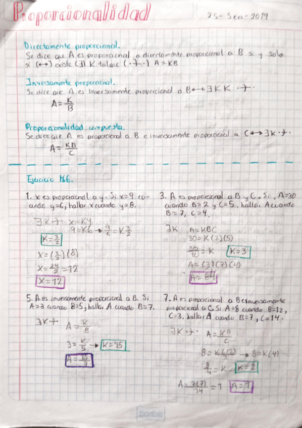 Miniatura del documento Proporcionalidad.pdf