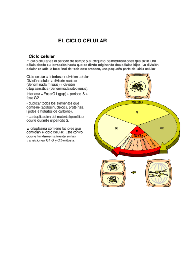 Miniatura del documento Biologia-Celular-y-historia-VI.pdf