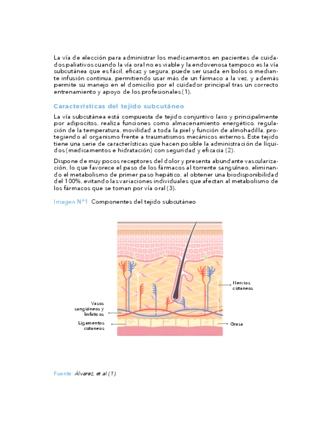 Miniatura del documento Cuidados-Paliativos-VI.pdf