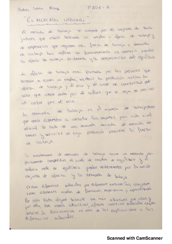 Miniatura del documento El-mercado-laboral.pdf