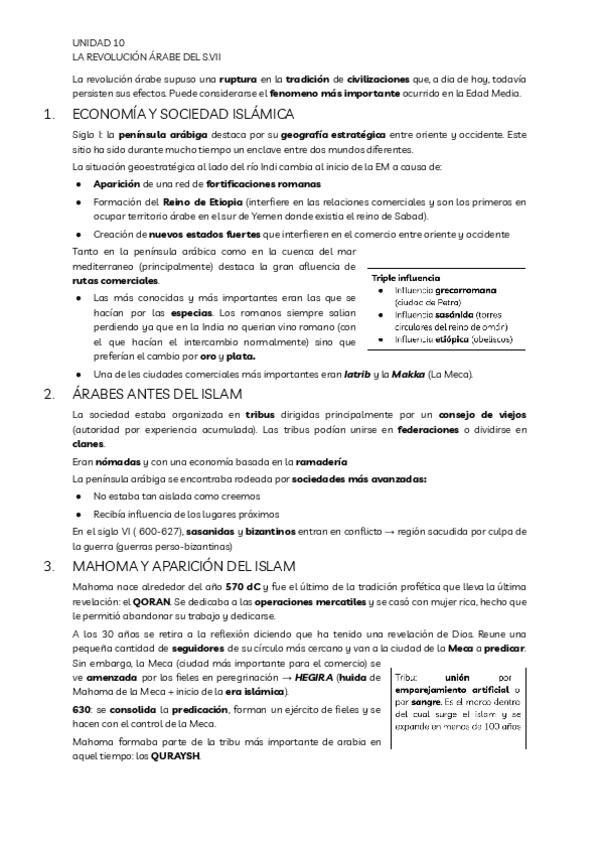 Miniatura del documento U10-LA-REVOLUCION-ARABE-DEL-SVII.pdf