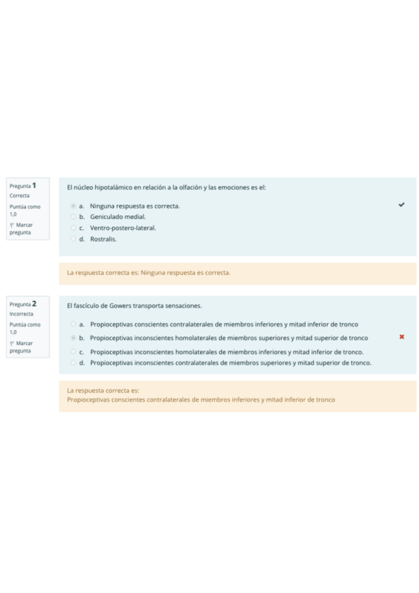 Miniatura del documento 2021-2Q-ANATO-II.pdf