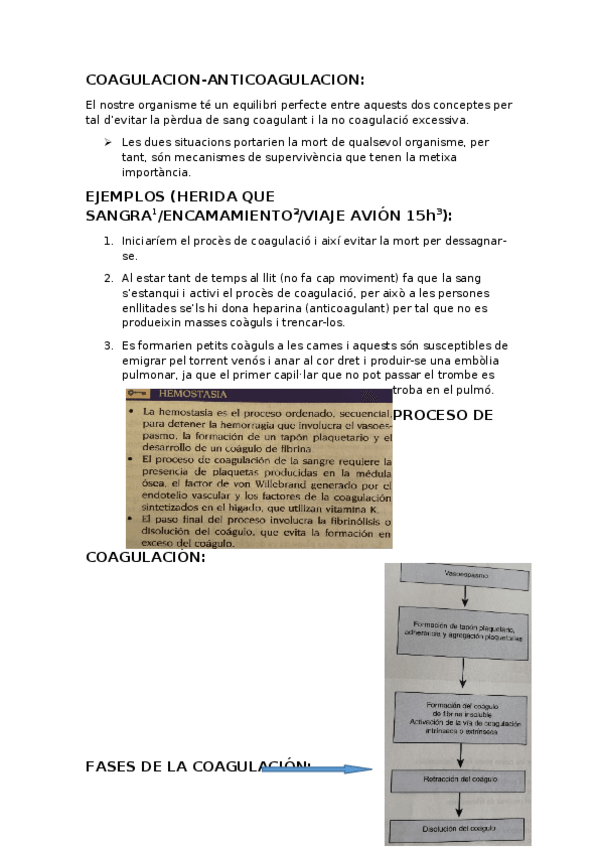 Miniatura del documento APUNTS-FISIOPAT-II.odt