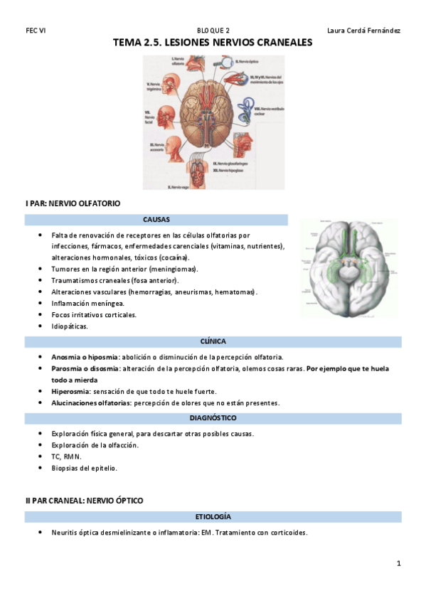 Miniatura del documento TEMA-2.5.-LESIONES-NERVIOS-CRANEALES.pdf