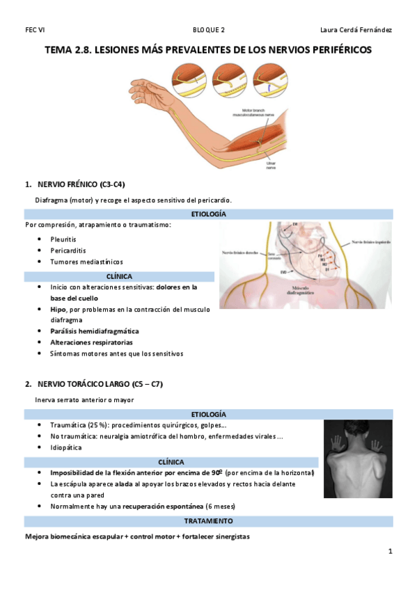 Miniatura del documento TEMA-2.8.-LESIONES-MAS-PREVALENTES-DE-LOS-NERVIOS-PERIFERICOS.pdf