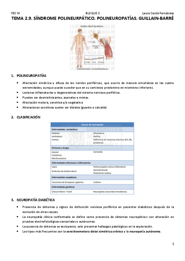 Miniatura del documento TEMA-2.9.-SINDROME-POLINEURPATICO.-POLINEUROPATIAS.-GUILLAIN-BARRE.pdf