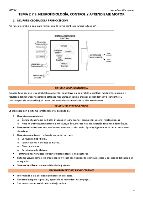 Miniatura del documento TEMA-2-Y-3.-NEUROFISIOLOGIA-CONTROL-Y-APRENDIZAJE-MOTOR.pdf