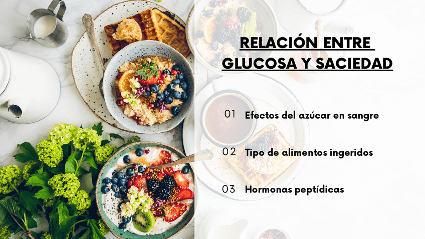 Miniatura del documento EXPOSICION-TRABAJO-FINAL-BIOQUIMICA.pdf