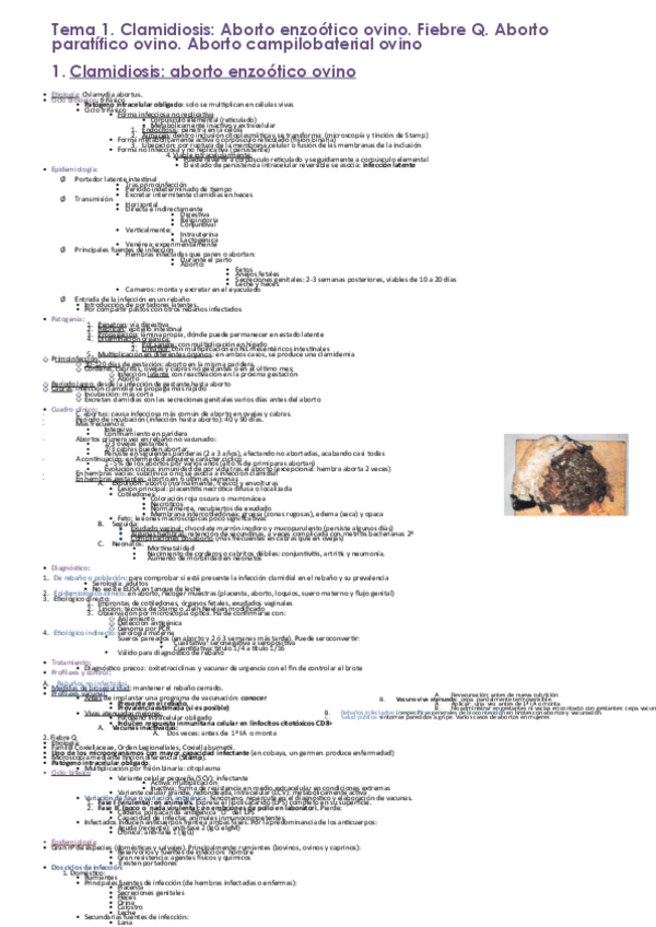 Miniatura del documento INFE-1oP.pdf