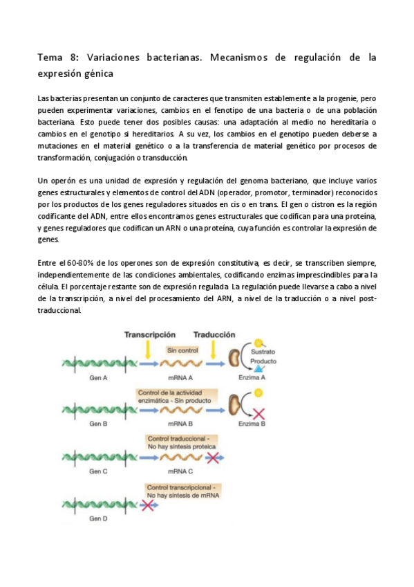 Miniatura del documento Apuntes tema 8.pdf