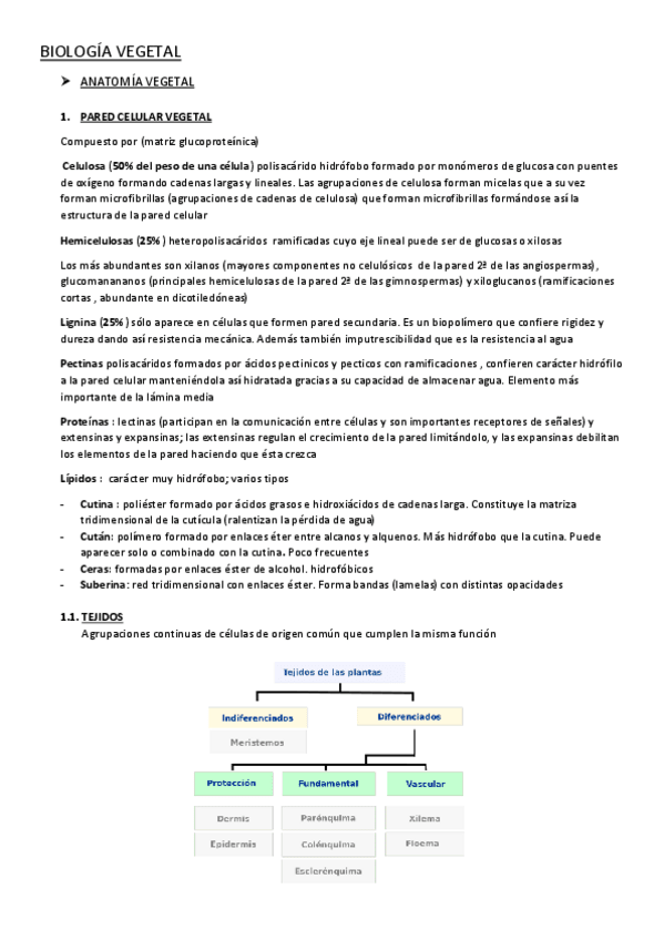 Miniatura del documento RESUMEN-BOTANICA.pdf