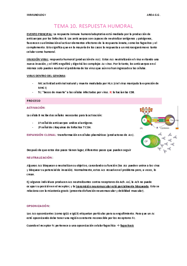 Miniatura del documento TEMA-10-RESPUESTA-HUMORAL.pdf