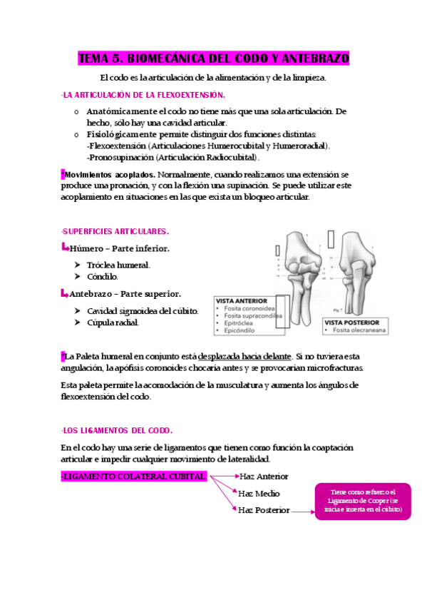 Miniatura del documento TEMA-5.-BIOMECANICA-DEL-CODO-Y-ANTEBRAZO.pdf