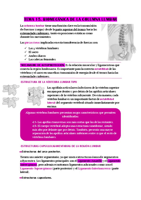 Miniatura del documento TEMA-15.-BIOMECANICA-DE-LA-COLUMNA-LUMBAR.pdf
