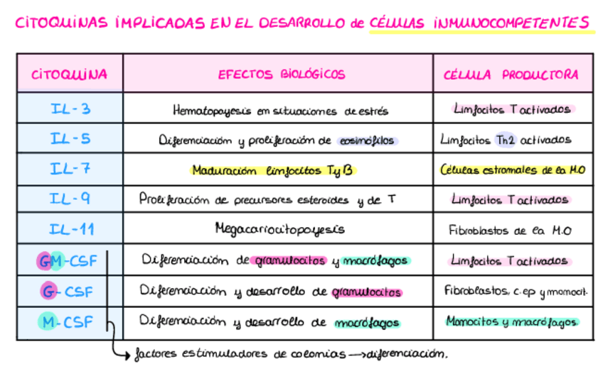 Miniatura del documento Tabla-Citoquinas.pdf