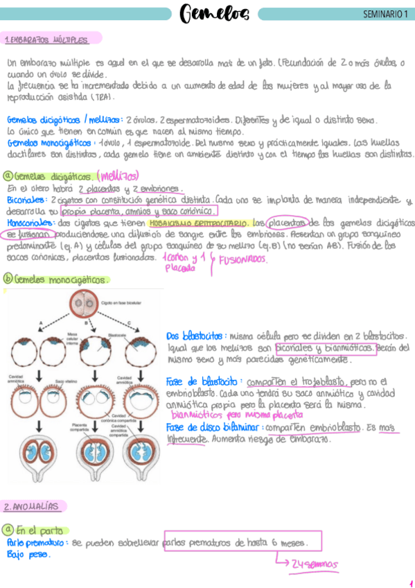 Miniatura del documento SEMINARIO-1.pdf