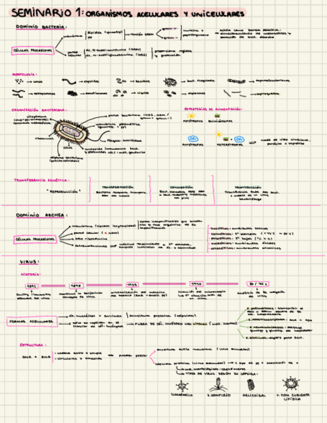 Miniatura del documento Seminarios-4.pdf