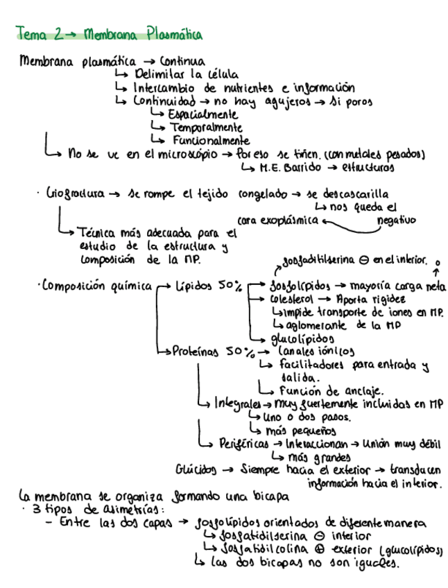 Miniatura del documento Resumen-Biologia-todo.pdf