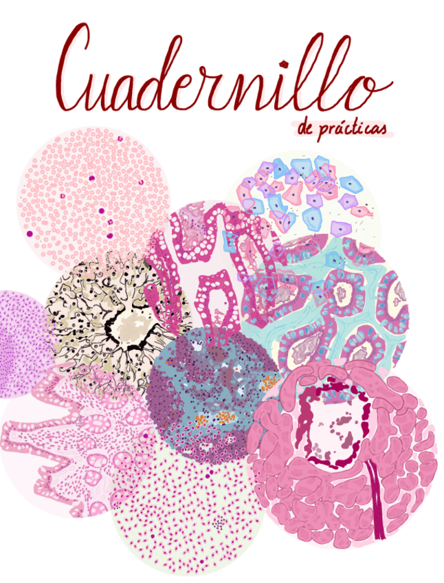 Miniatura del documento Practicas-Biologia-Todo.pdf