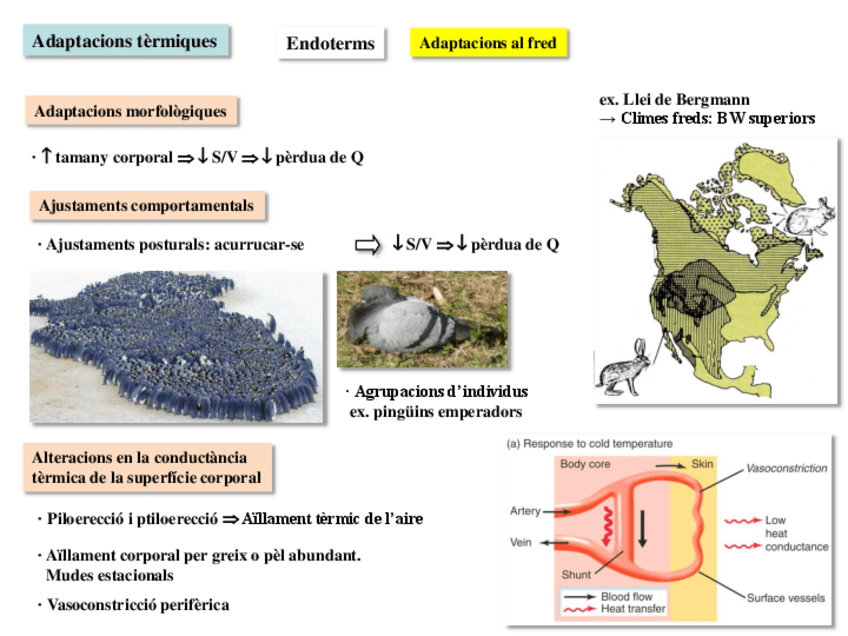 Miniatura del documento 03-Habitats-terrestres-II-2019-20.pdf