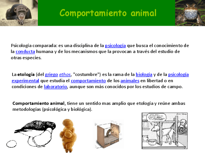 Miniatura del documento coportament-animal-2023.pdf