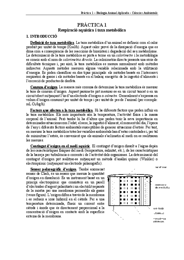 Miniatura del documento PTQ-1-BAA-2021-22-Consum-O2-aquatics.pdf