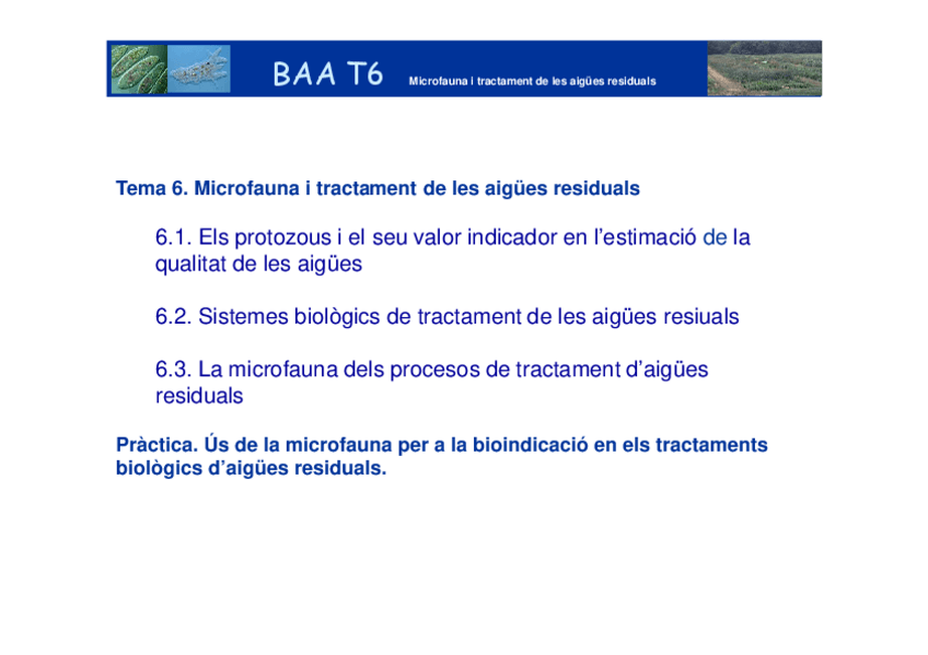 Miniatura del documento PTQ-4-BAA-Bioindicacio.pdf