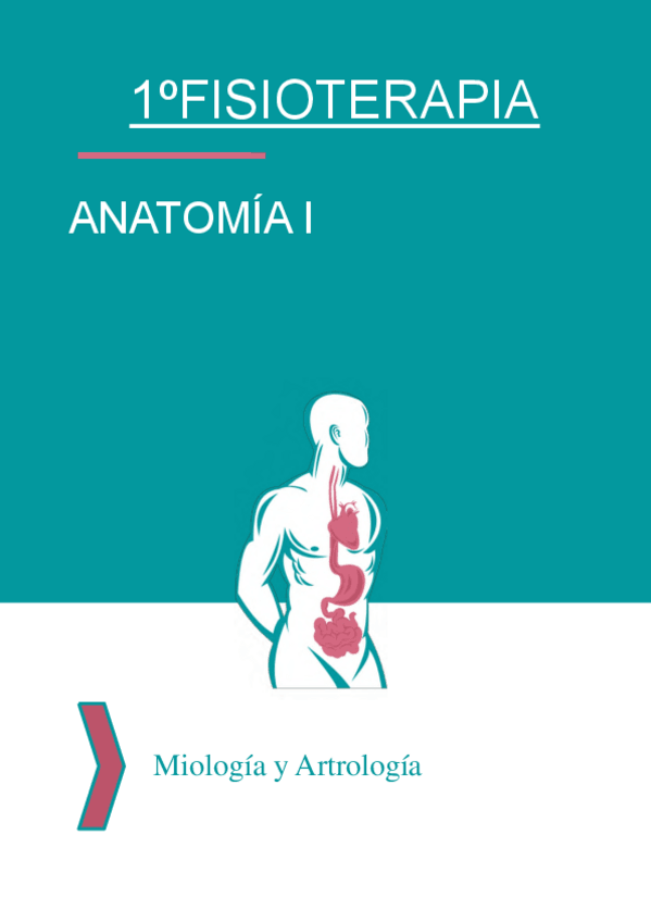 Miniatura del documento Miologia-Anatomia-I.pdf