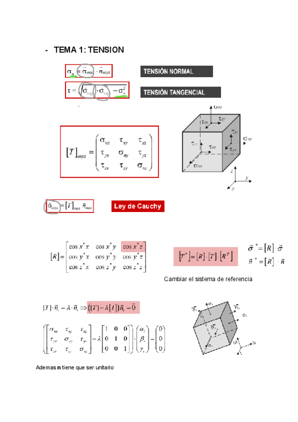 Miniatura del documento RESUM-R.E.M.pdf