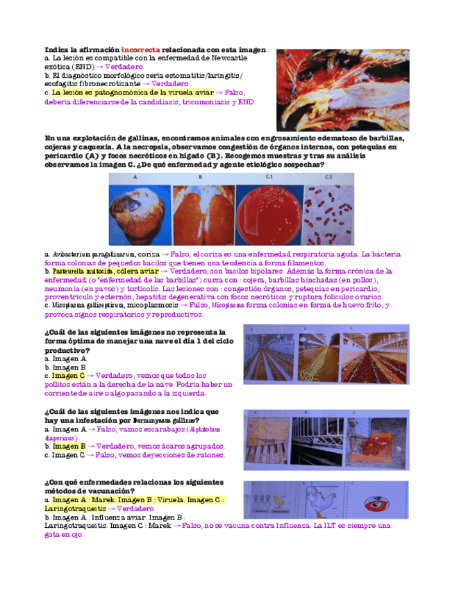 Miniatura del documento Examen-Aves-2.pdf