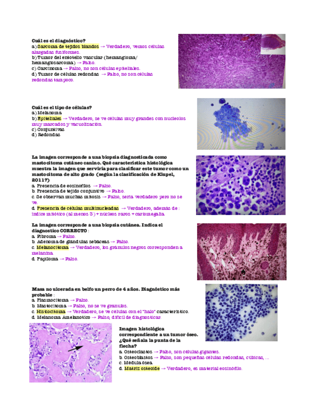 Miniatura del documento Examen Oncología.pdf