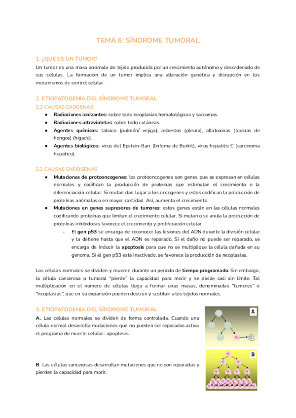Miniatura del documento TEMA-6-SINDROME-TUMORAL.pdf