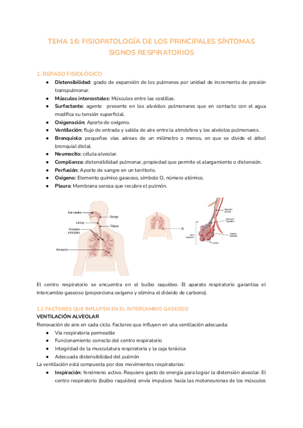 Miniatura del documento TEMA-16-FISIOPATOLOGIA-DE-LOS-PRINCIPALES-SINTOMAS-SIGNOS-RESPIRATORIOS.pdf
