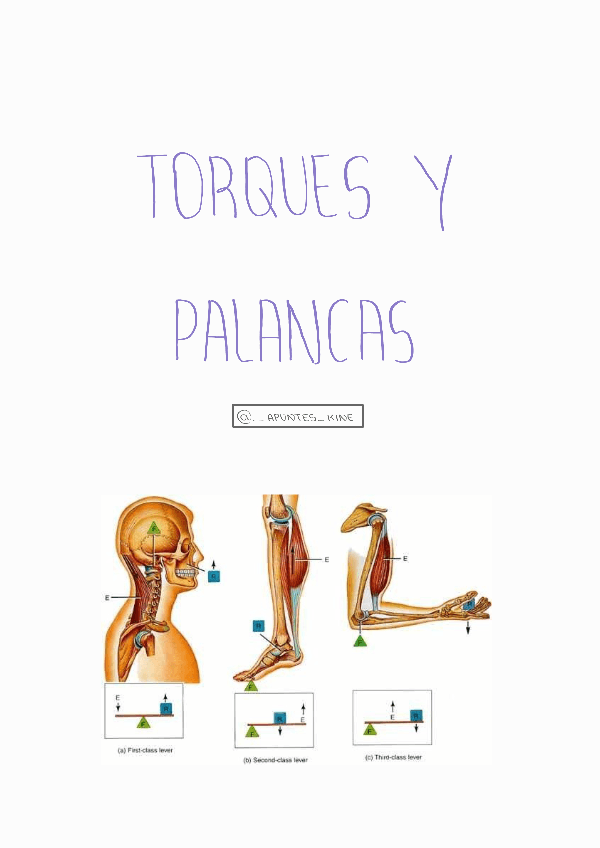 Miniatura del documento Torques-y-palancas.pdf