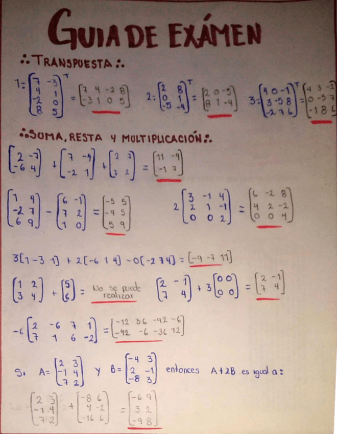 Miniatura del documento Guia-de-examenMN.pdf