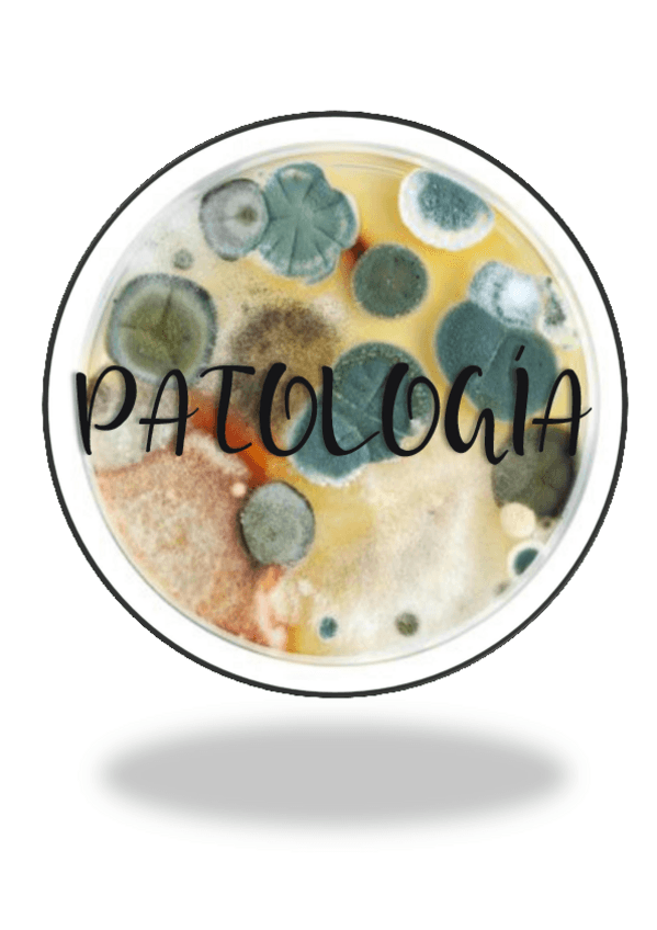 Miniatura del documento Patologia-pulmonar.pdf