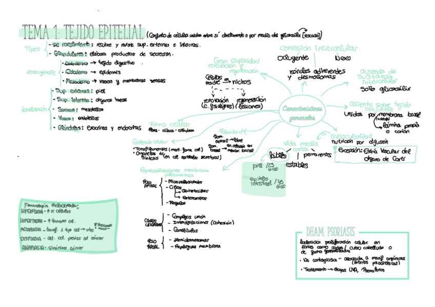Miniatura del documento Tema-1-esquema.pdf