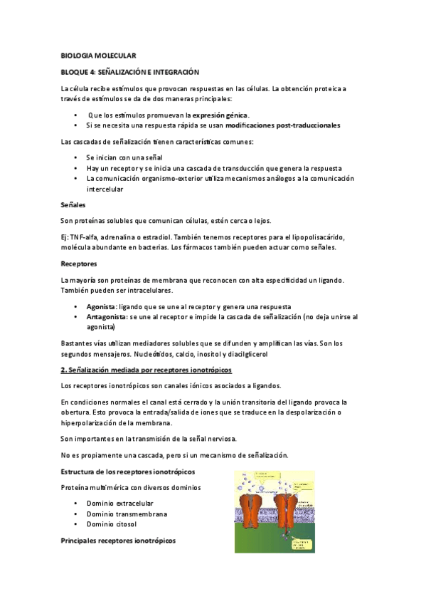 Miniatura del documento Biologia-molecular.-Senalizacion-bloque-4.pdf