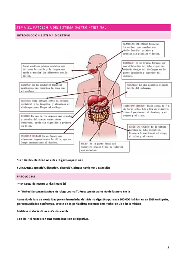 Miniatura del documento tema-11-12-anatopato.pdf
