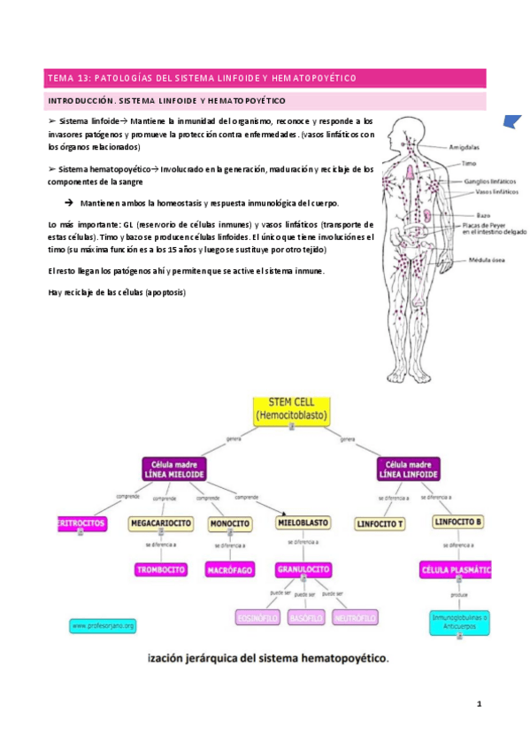 Miniatura del documento tema-13.pdf