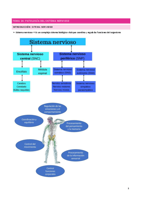 Miniatura del documento tema-14-anatopato.pdf