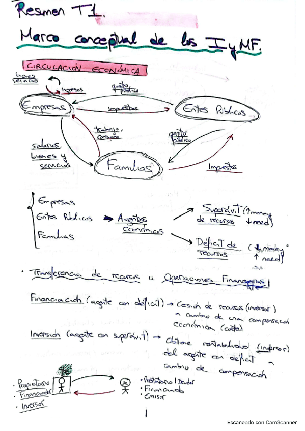 Miniatura del documento RESUMENT1IyMF.pdf