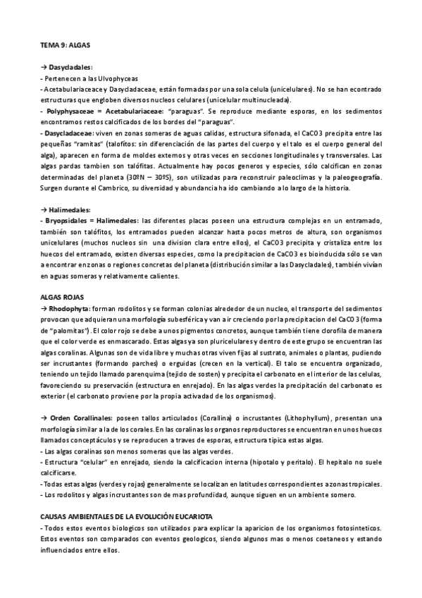 Miniatura del documento teoria-de-paleobotanica.pdf