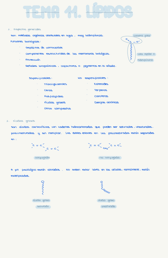 Miniatura del documento Tema-11-Lipidos.pdf