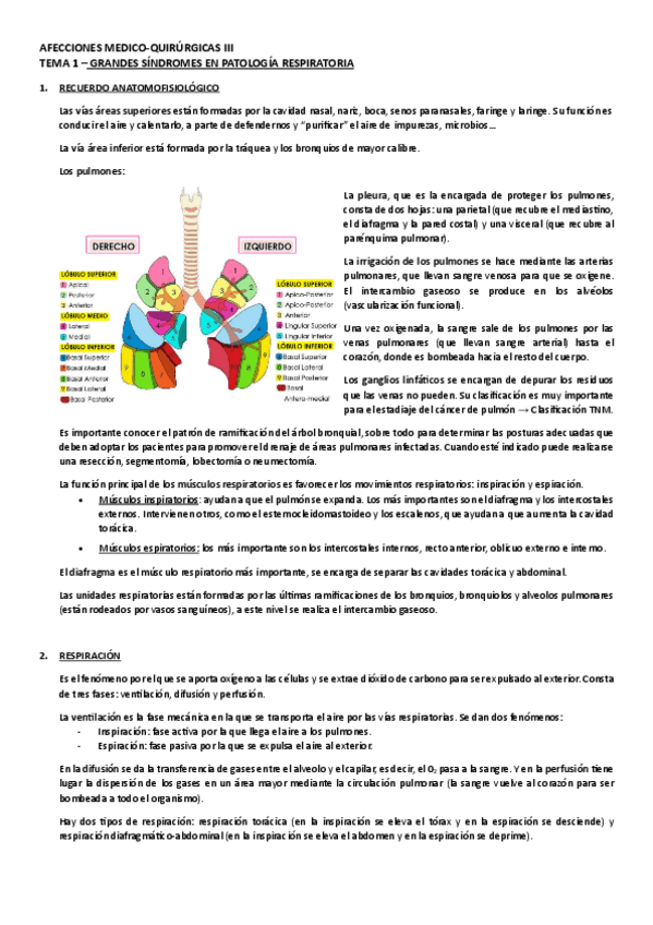 Miniatura del documento Temas-1-26.pdf