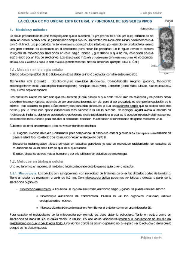 Miniatura del documento biocel-IMP.pdf