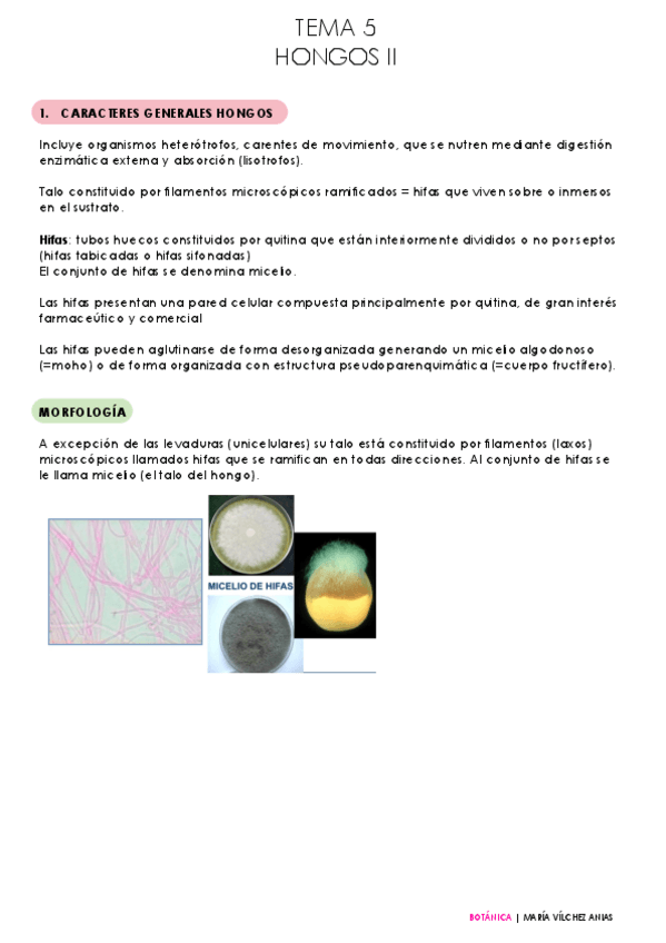 Miniatura del documento Tema-5-BOTANICA.pdf