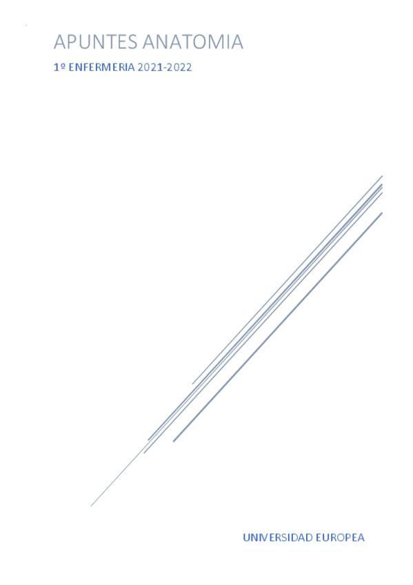 Miniatura del documento APUNTES-ANATOMIA.pdf