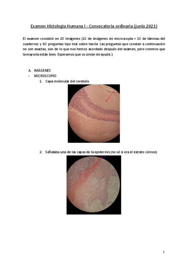 Miniatura del documento Examen-Histologia-Humana-I-2023.pdf